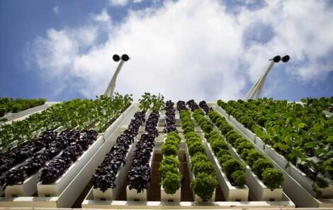Explore Vertical Farming Techniques Image